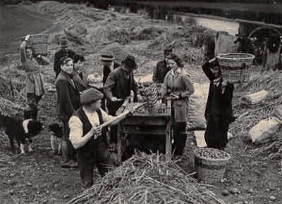 Old Doncaster: Norton Priory Potato Pickers